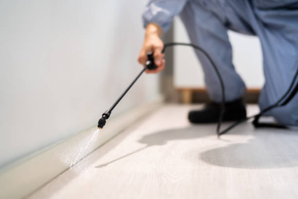 Bed Bug Pre-Treatment Preparation Assessment in Heyworth