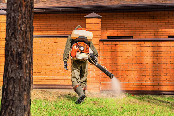 Bed Bug Clearance Verification and Documentation in Heyworth